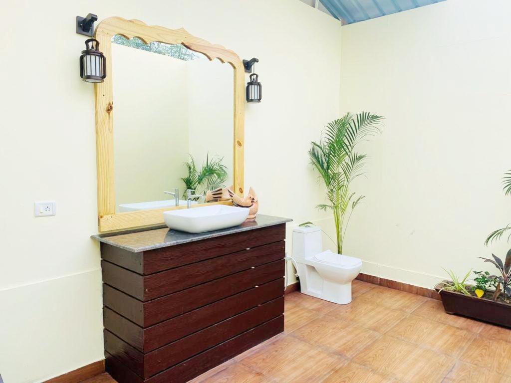 Agonda Serenity Beach Villa Eksteriør bilde