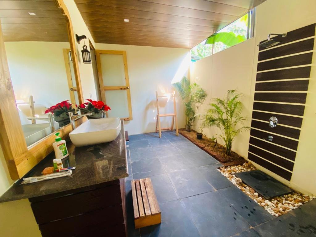Agonda Serenity Beach Villa Eksteriør bilde